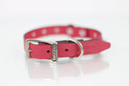 Collar con Picos para Perro de Piel, 2cm de ancho