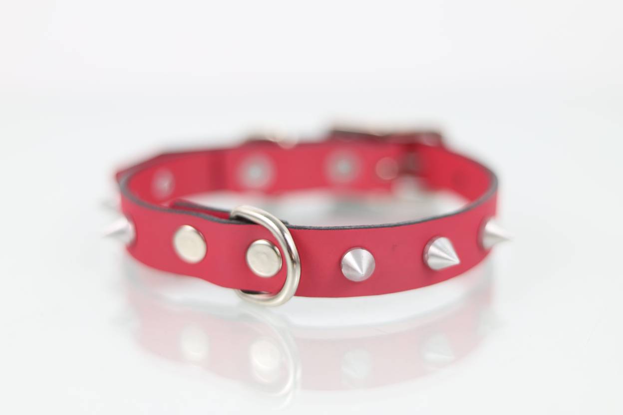 Collar con Picos para Perro de Piel, 2cm de ancho