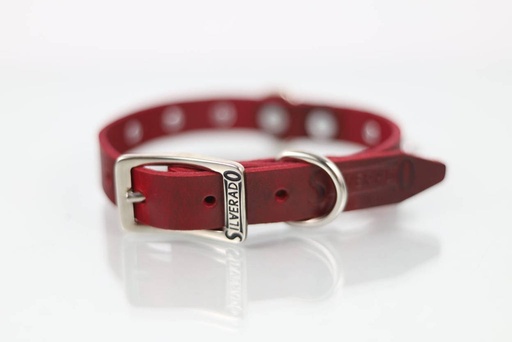 Collar con Picos para Perro de Piel, 2cm de ancho