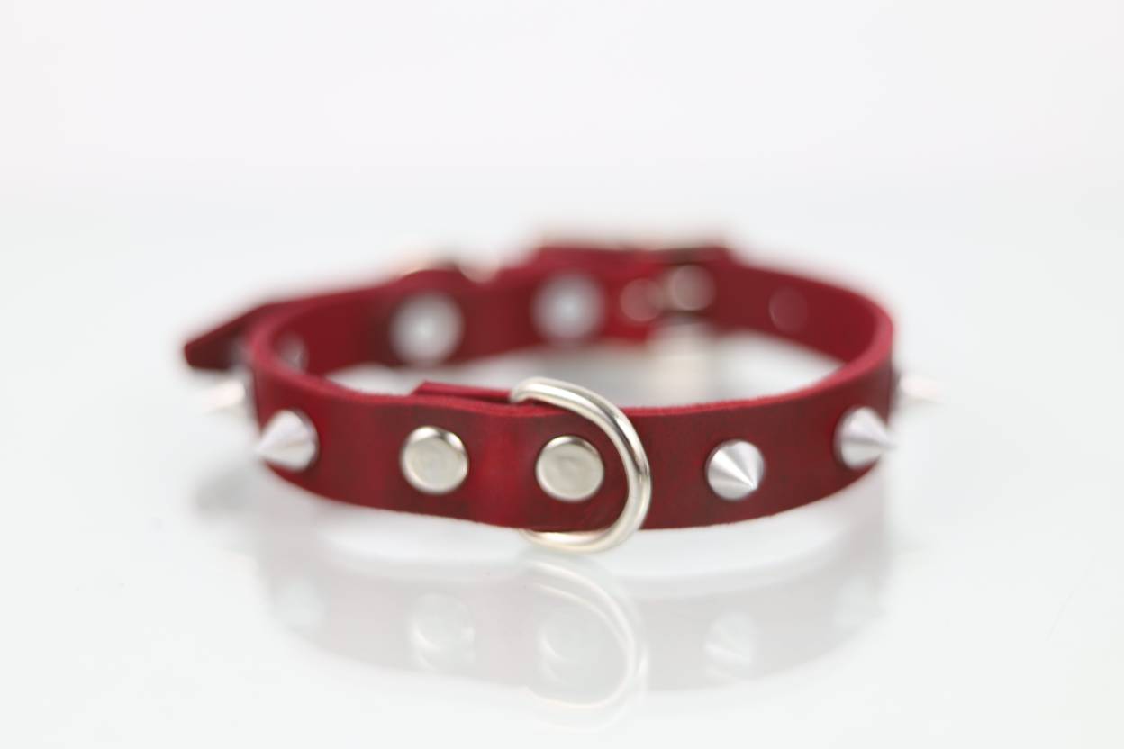 Collar con Picos para Perro de Piel, 2cm de ancho