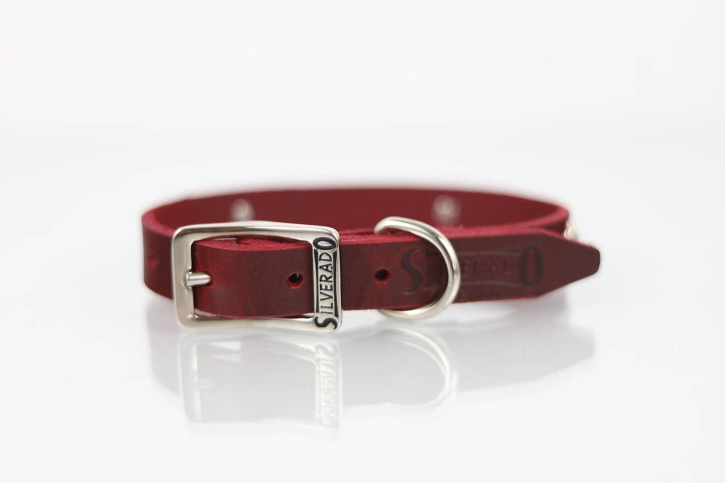 Collar con Aplicación Metálica Perro de Piel, 2cm de ancho