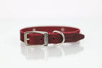 Collar con Aplicación Metálica Perro de Piel, 2cm de ancho