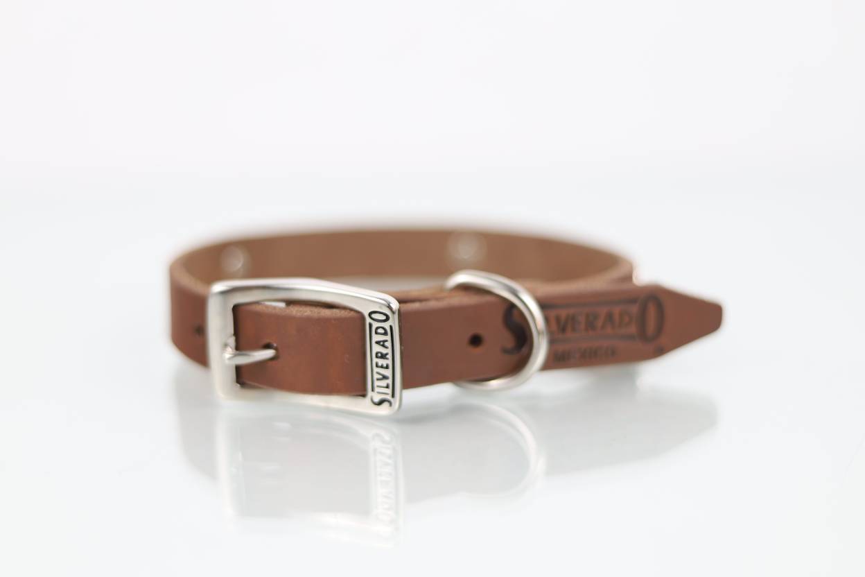 Collar con Aplicación Metálica Perro de Piel, 2cm de ancho
