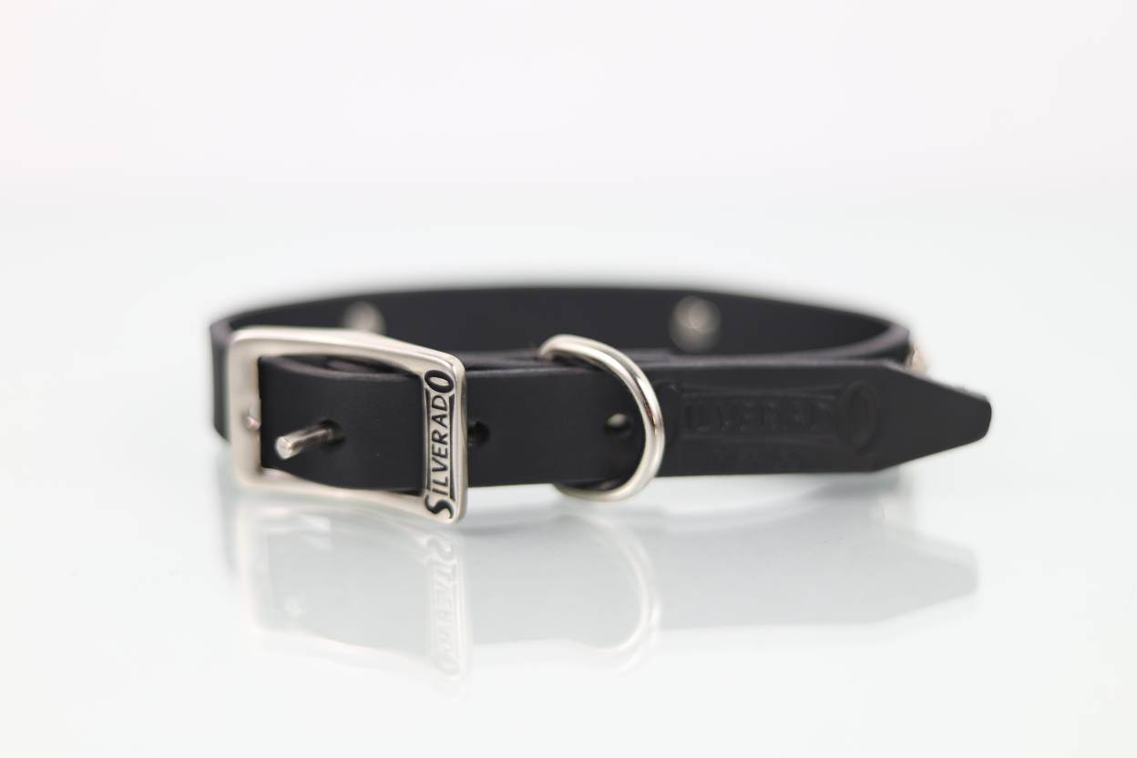 Collar con Aplicación Metálica Perro de Piel, 2cm de ancho