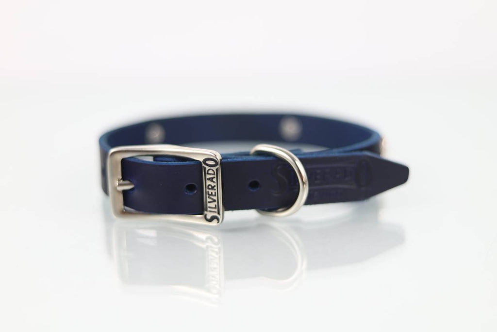 Collar con Aplicación Metálica Perro de Piel, 2cm de ancho