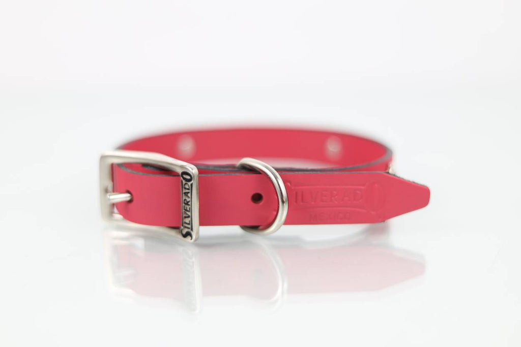 Collar con Aplicación Metálica Perro de Piel, 2cm de ancho