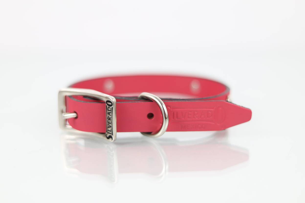 Collar con Aplicación Metálica Perro de Piel, 2cm de ancho