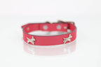 Collar con Aplicación Metálica Perro de Piel, 2cm de ancho
