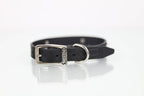 Collar con Aplicación Metálica Hueso para Perro de Piel, 2cm de ancho