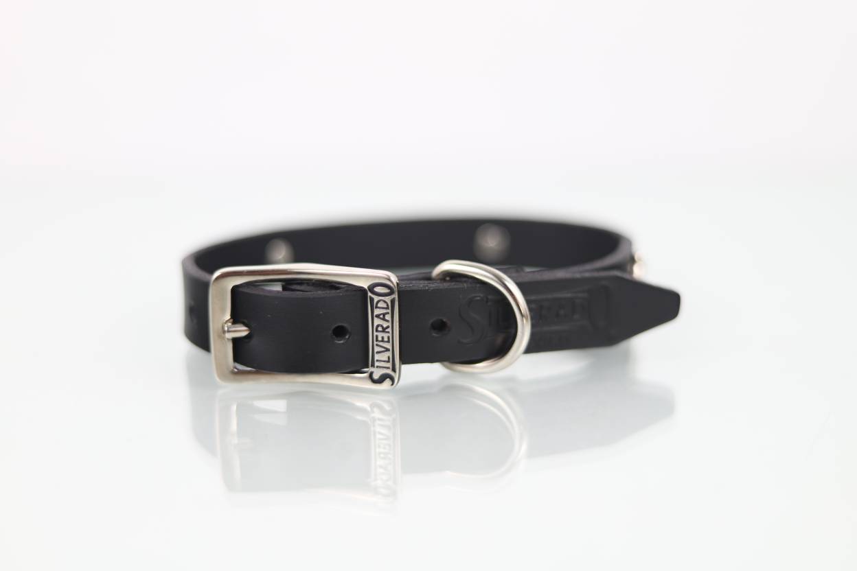 Collar con Aplicación Metálica Hueso para Perro de Piel, 2cm de ancho
