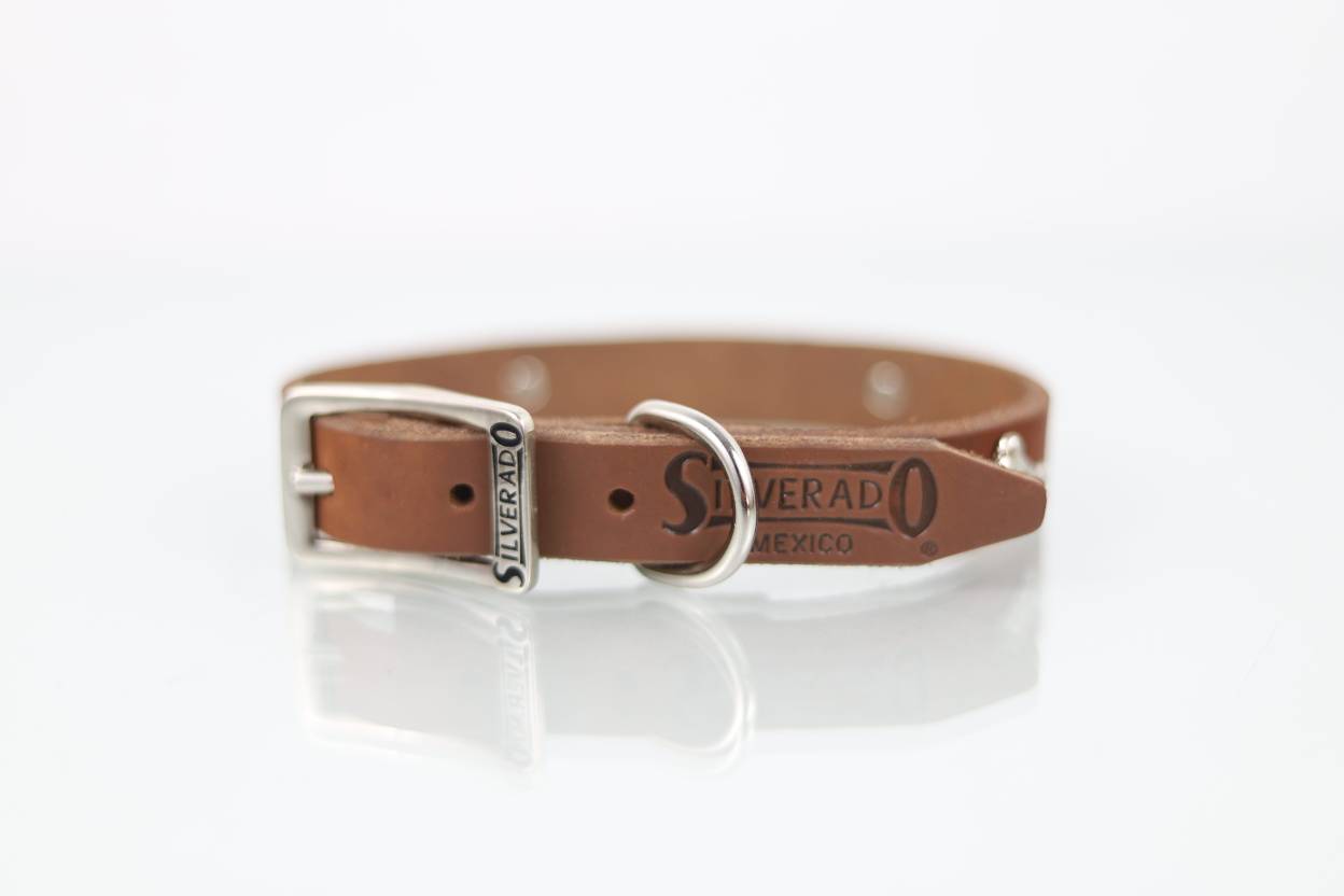 Collar con Aplicación Metálica Hueso para Perro de Piel, 2cm de ancho