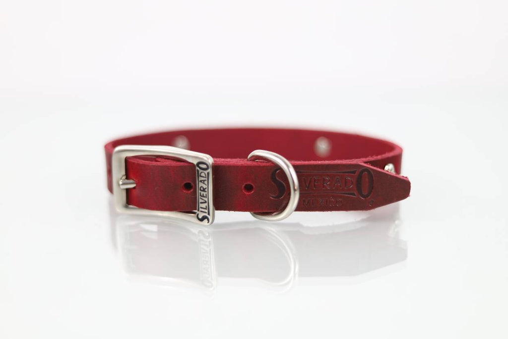 Collar con Aplicación Metálica Hueso para Perro de Piel, 2cm de ancho