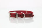 Collar con Aplicación Metálica Hueso para Perro de Piel, 2cm de ancho