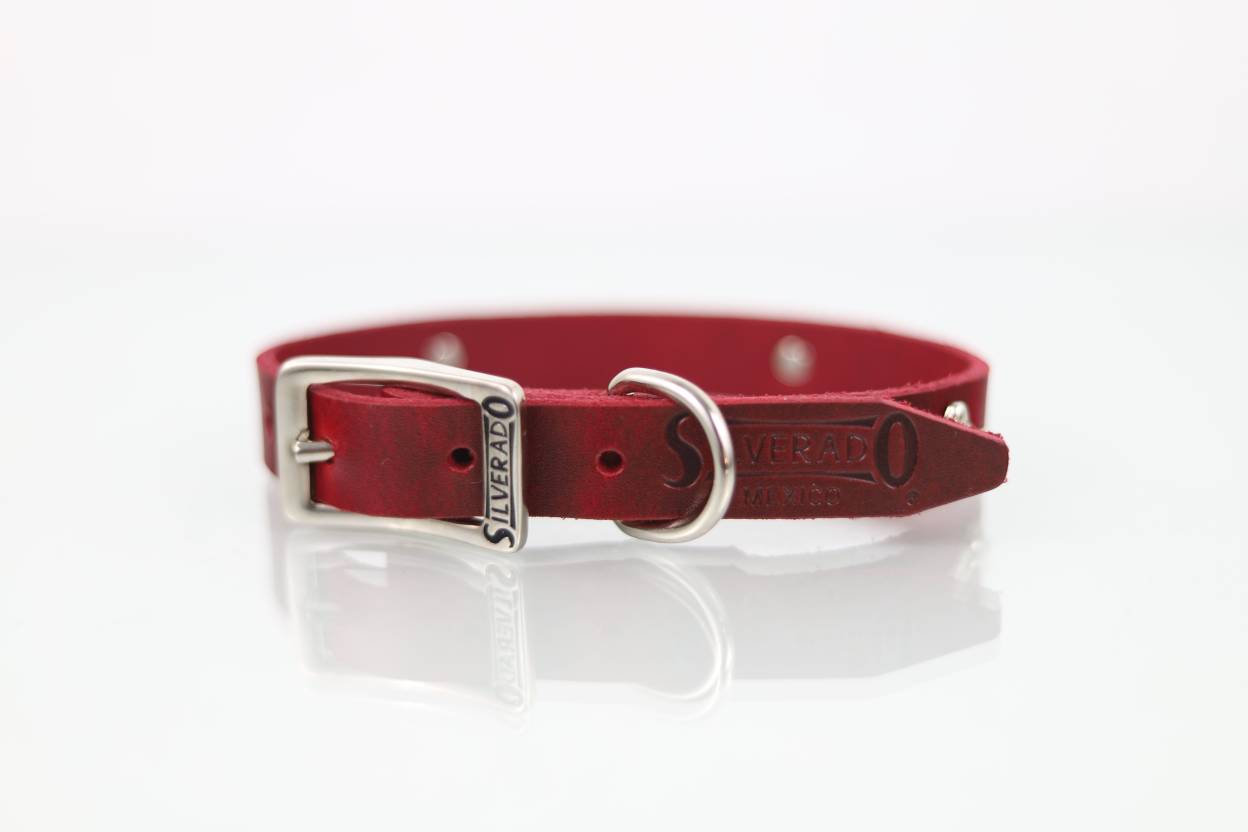 Collar con Aplicación Metálica Hueso para Perro de Piel, 2cm de ancho