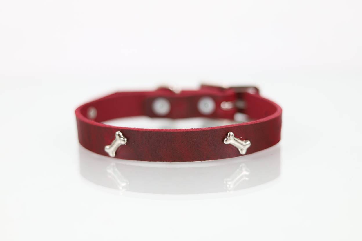 Collar con Aplicación Metálica Hueso para Perro de Piel, 2cm de ancho