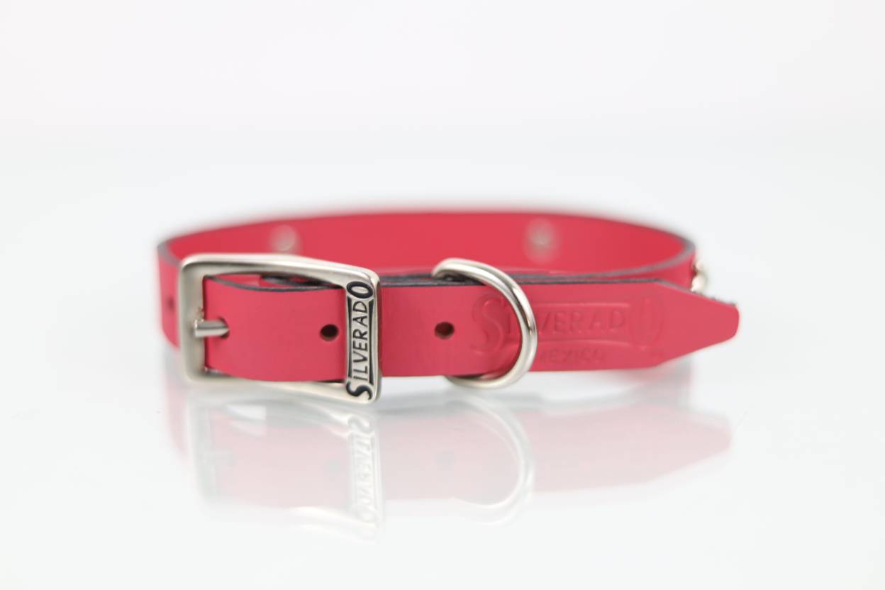 Collar con Aplicación Metálica Hueso para Perro de Piel, 2cm de ancho
