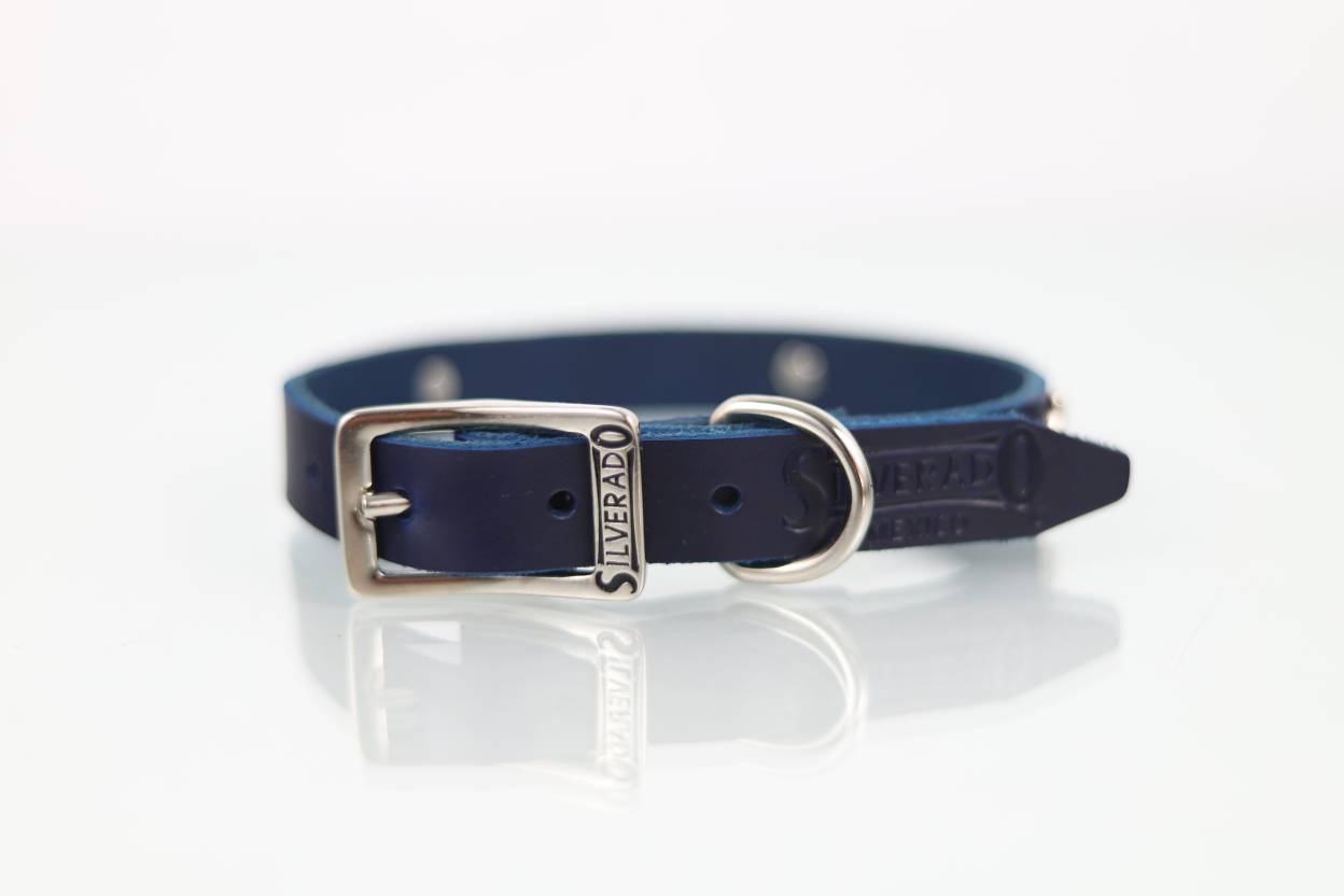 Collar con Aplicación Metálica Hueso para Perro de Piel, 2cm de ancho