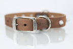 Collar con Picos para Perro de Piel, 3cm de ancho