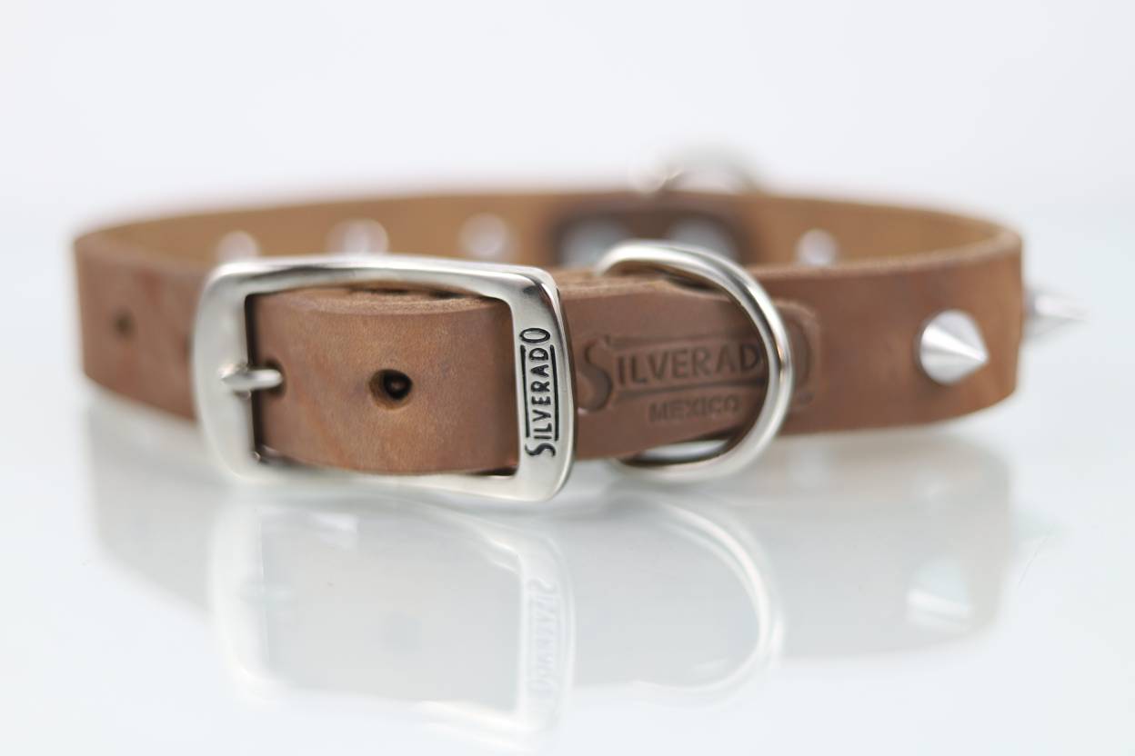 Collar con Picos para Perro de Piel, 3cm de ancho