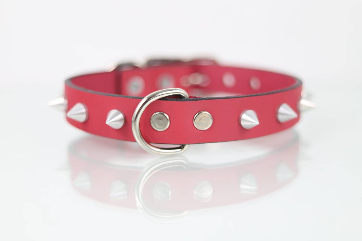 Collar con Picos para Perro de Piel, 3cm de ancho