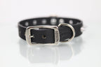 Collar con Picos para Perro de Piel, 3cm de ancho