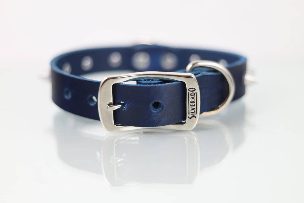 Collar con Picos para Perro de Piel, 3cm de ancho