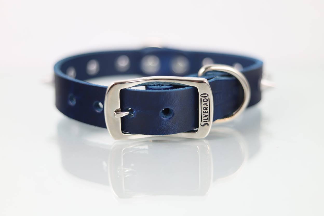 Collar con Picos para Perro de Piel, 3cm de ancho