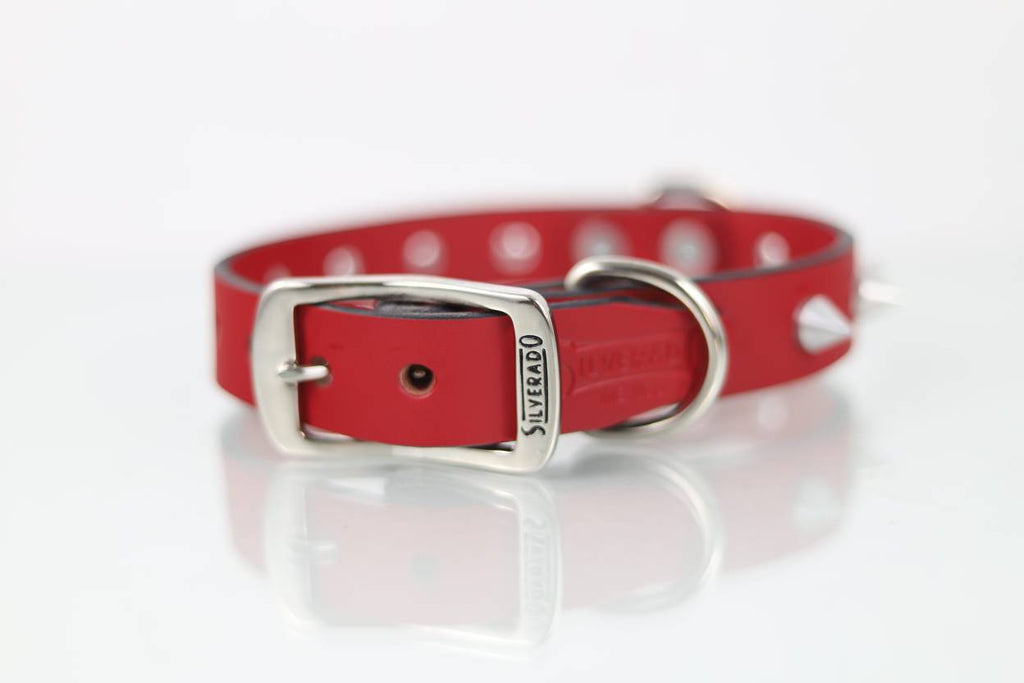 Collar con Picos para Perro de Piel, 3cm de ancho