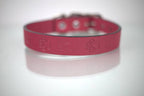 Collar Grabado para Perro de Piel, 3cm de ancho