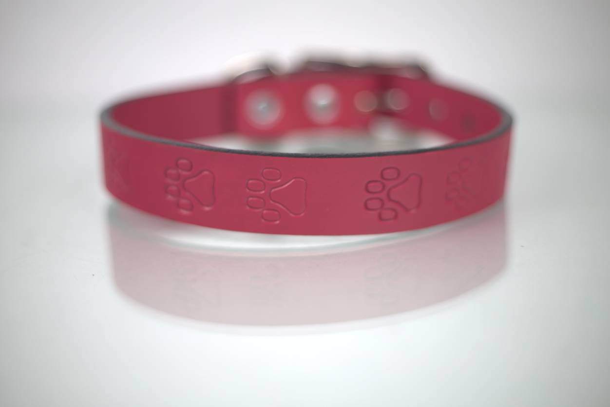 Collar Grabado para Perro de Piel, 3cm de ancho
