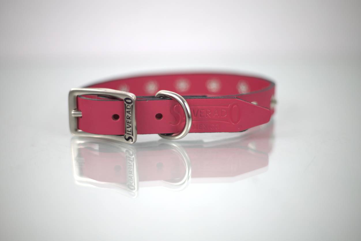 Collar con Estoperol para Perro de Piel, 1cm de ancho