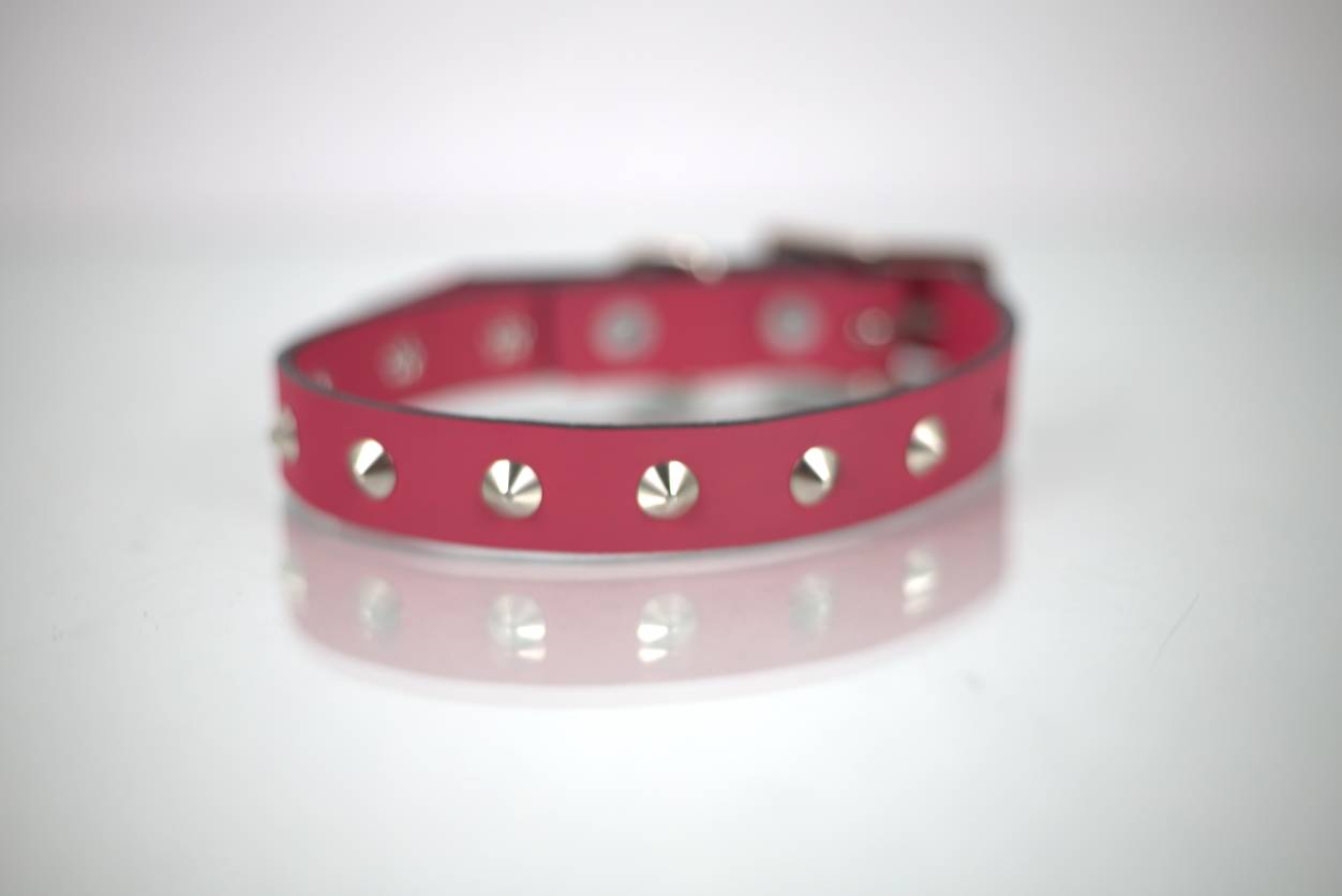 Collar con Estoperol para Perro de Piel, 1cm de ancho
