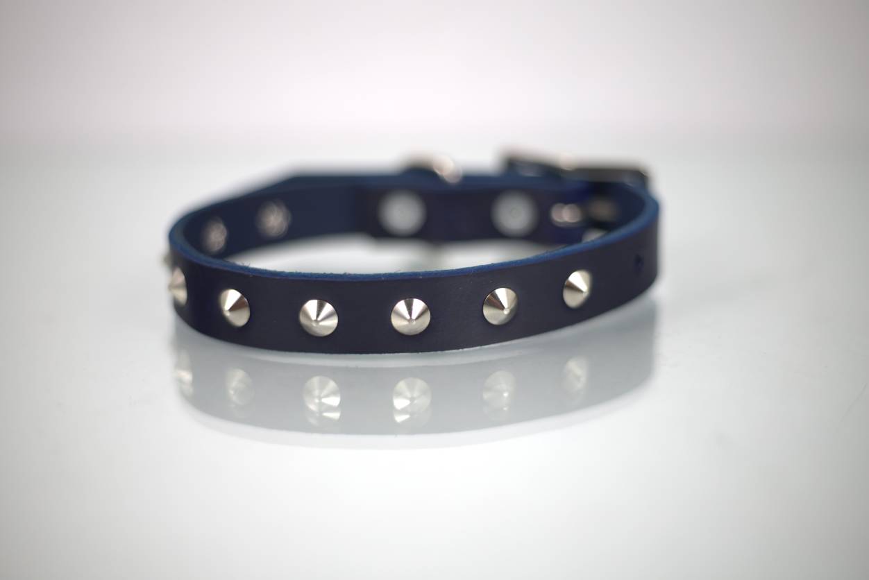 Collar con Estoperol para Perro de Piel, 1cm de ancho