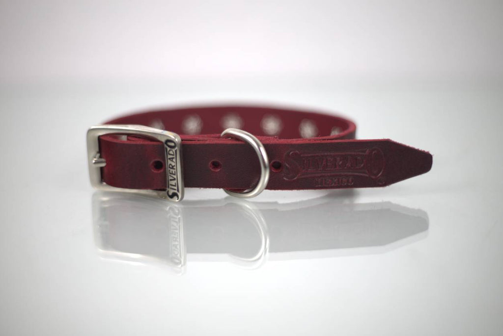 Collar con Estoperol para Perro de Piel, 1cm de ancho