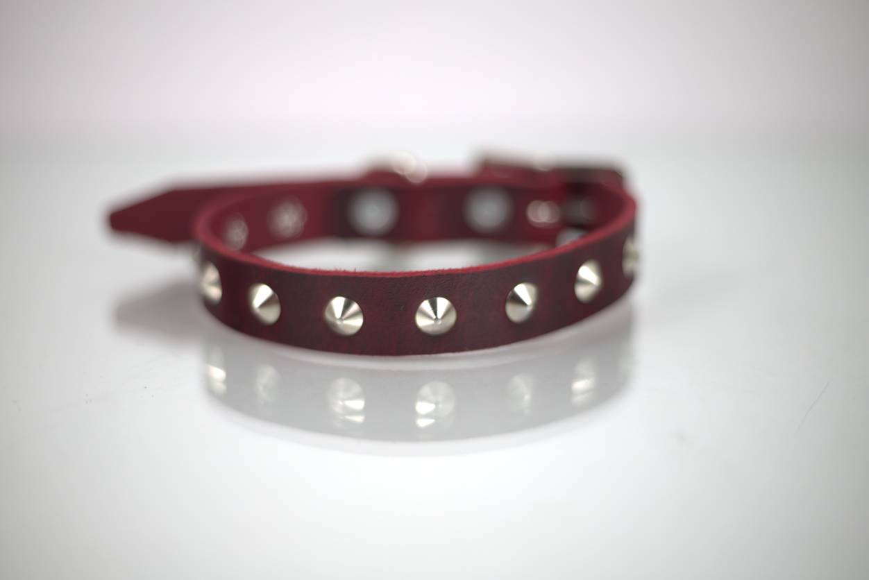 Collar con Estoperol para Perro de Piel, 1cm de ancho