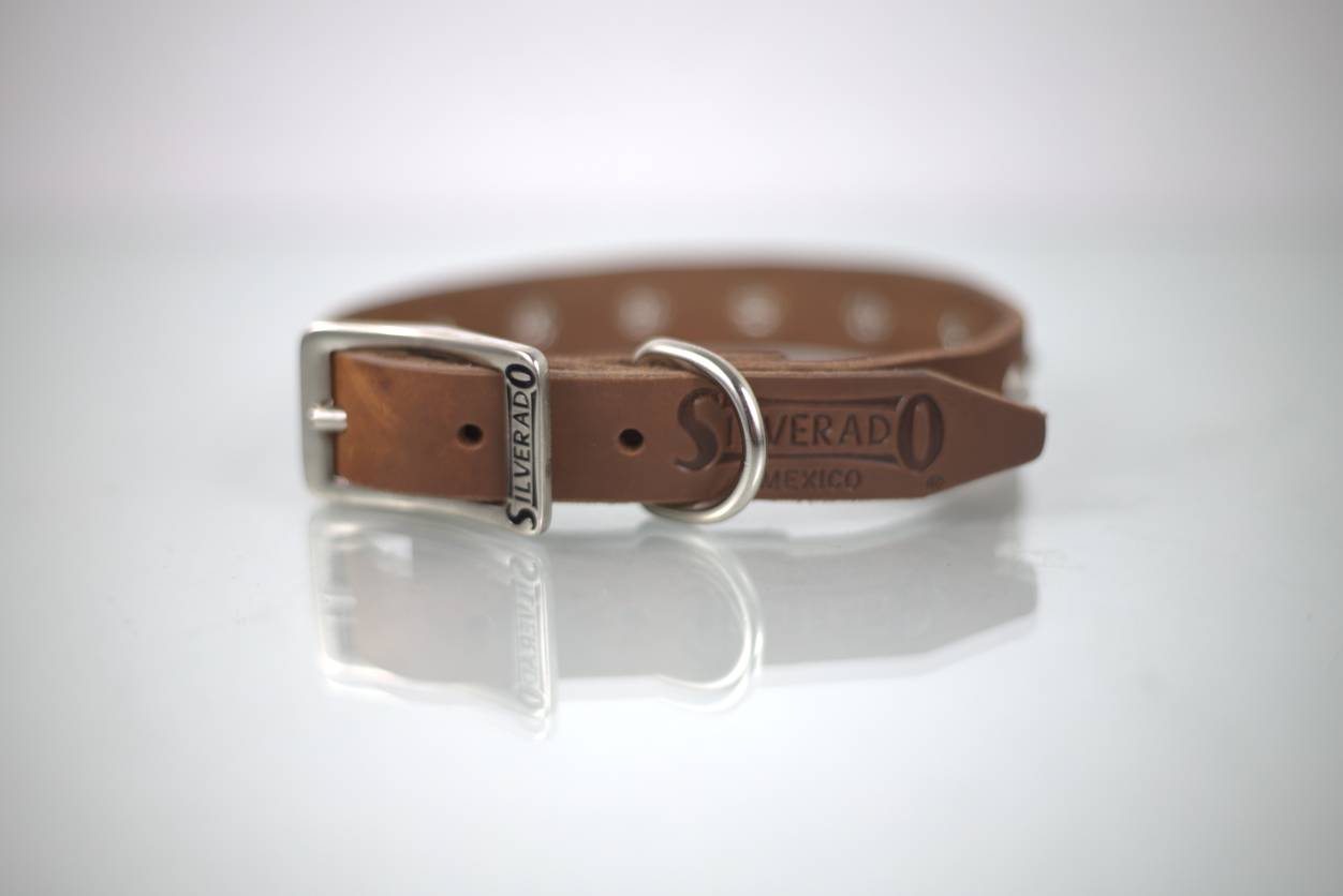 Collar con Estoperol para Perro de Piel, 1cm de ancho