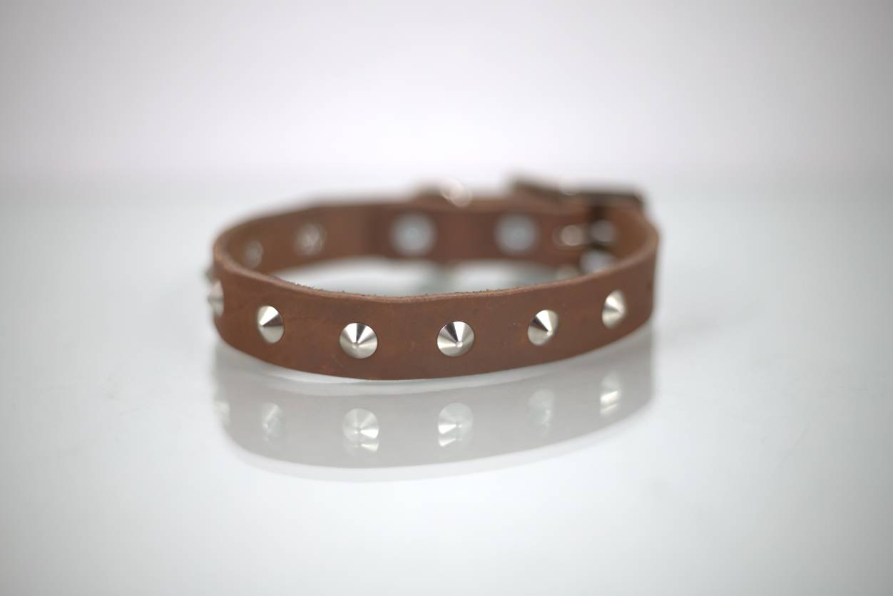 Collar con Estoperol para Perro de Piel, 1cm de ancho
