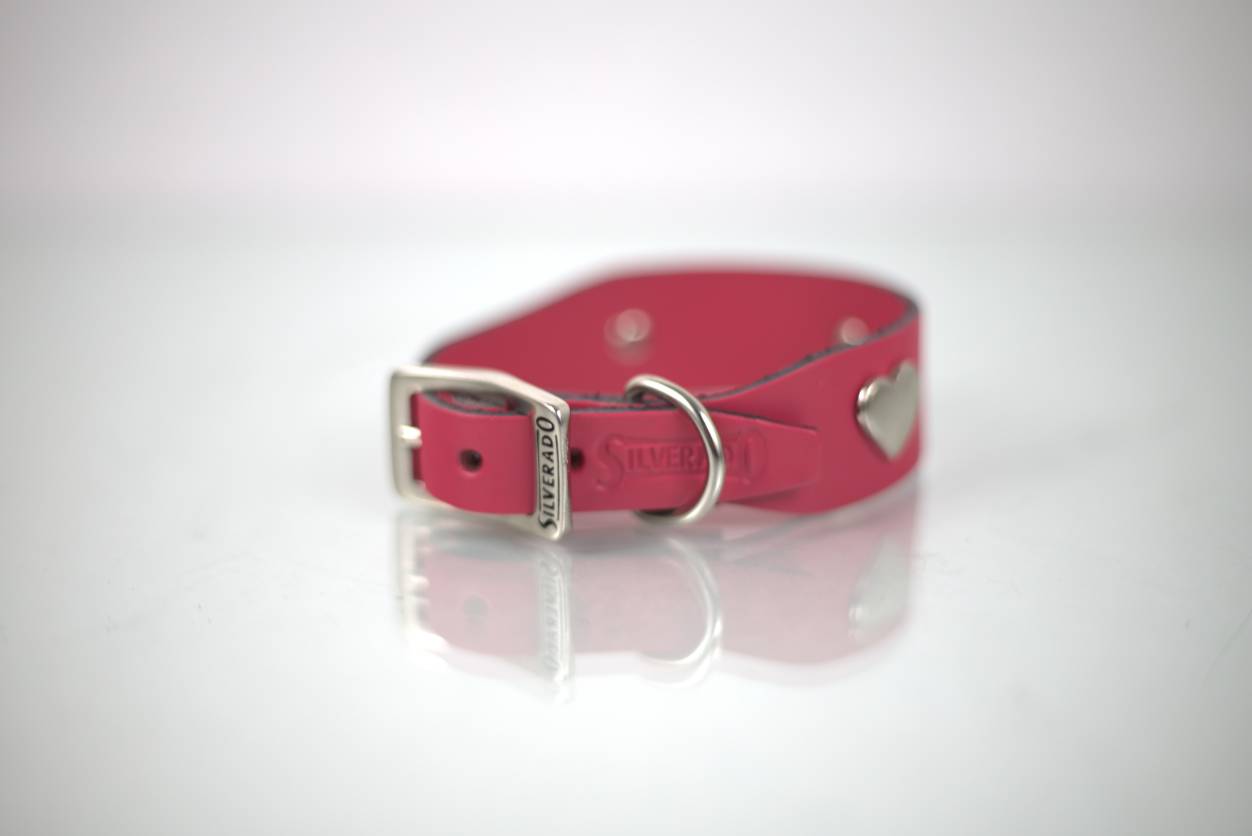 Collar Mini-Lux para Perro de Piel, 1cm de ancho