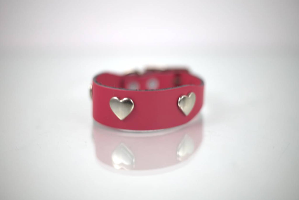 Collar Mini-Lux para Perro de Piel, 1cm de ancho