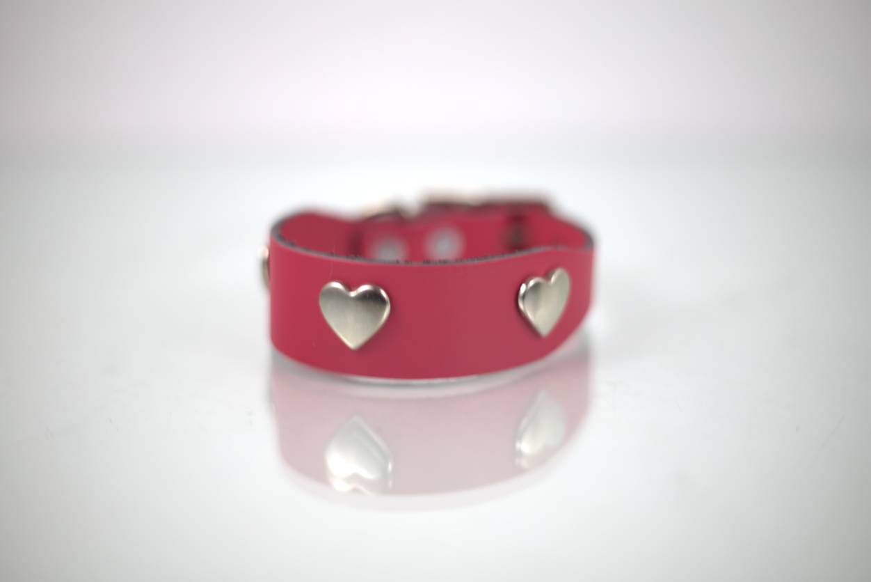 Collar Mini-Lux para Perro de Piel, 1cm de ancho