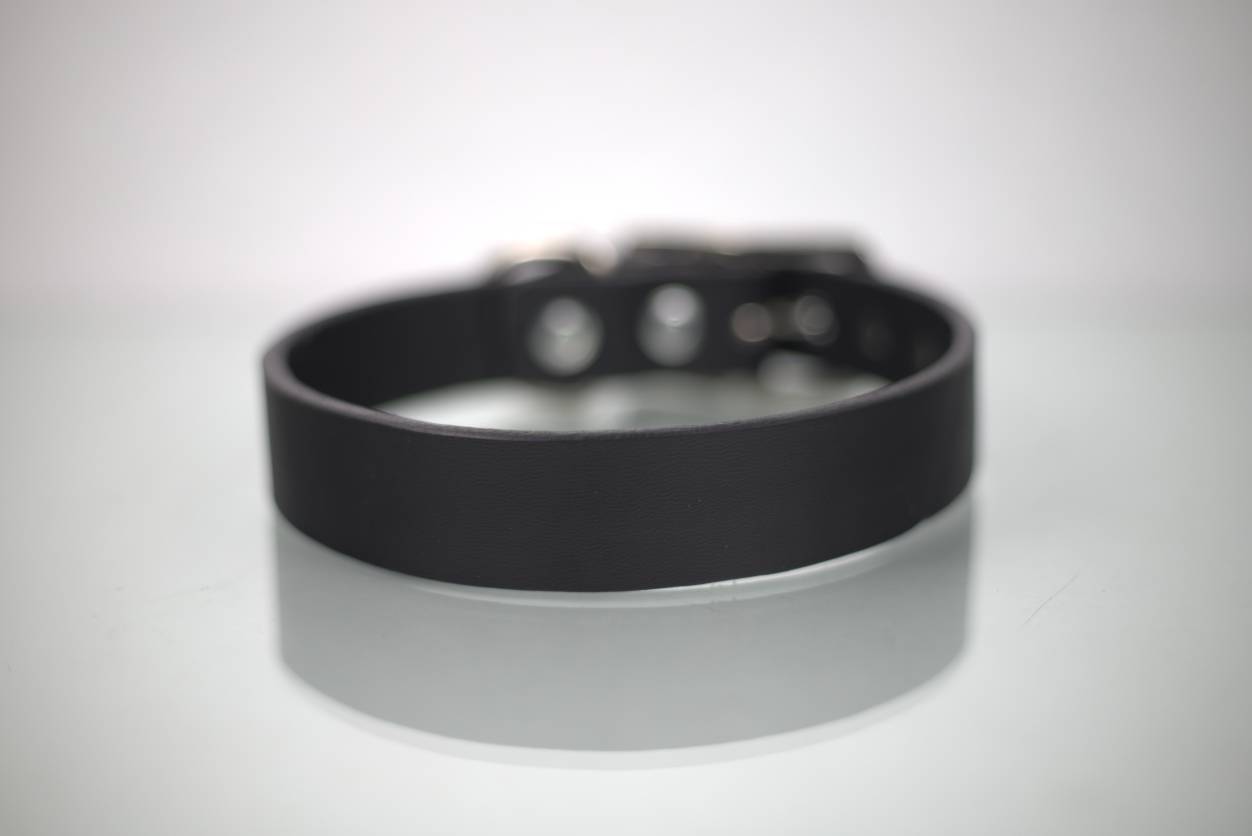 Collar Liso para Perro de Piel, 3cm de ancho
