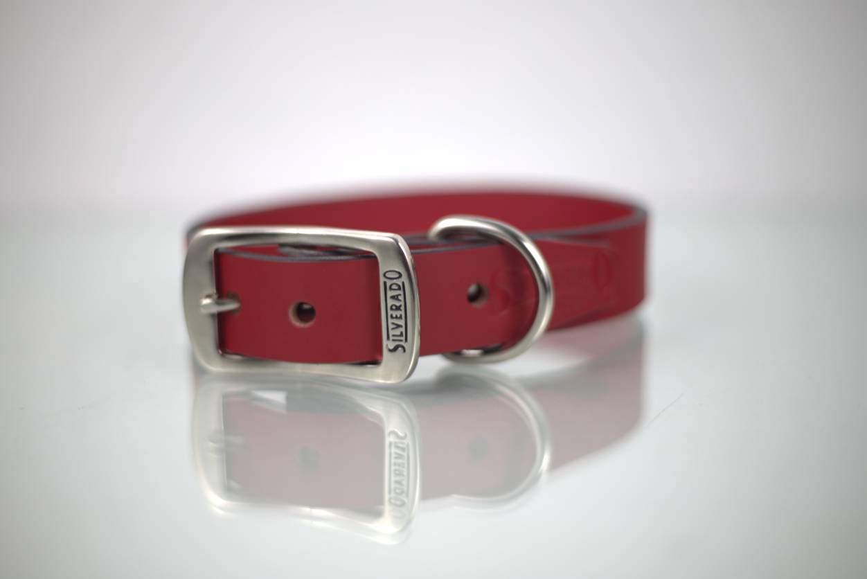 Collar Liso para Perro de Piel, 3cm de ancho