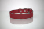 Collar Liso para Perro de Piel, 3cm de ancho