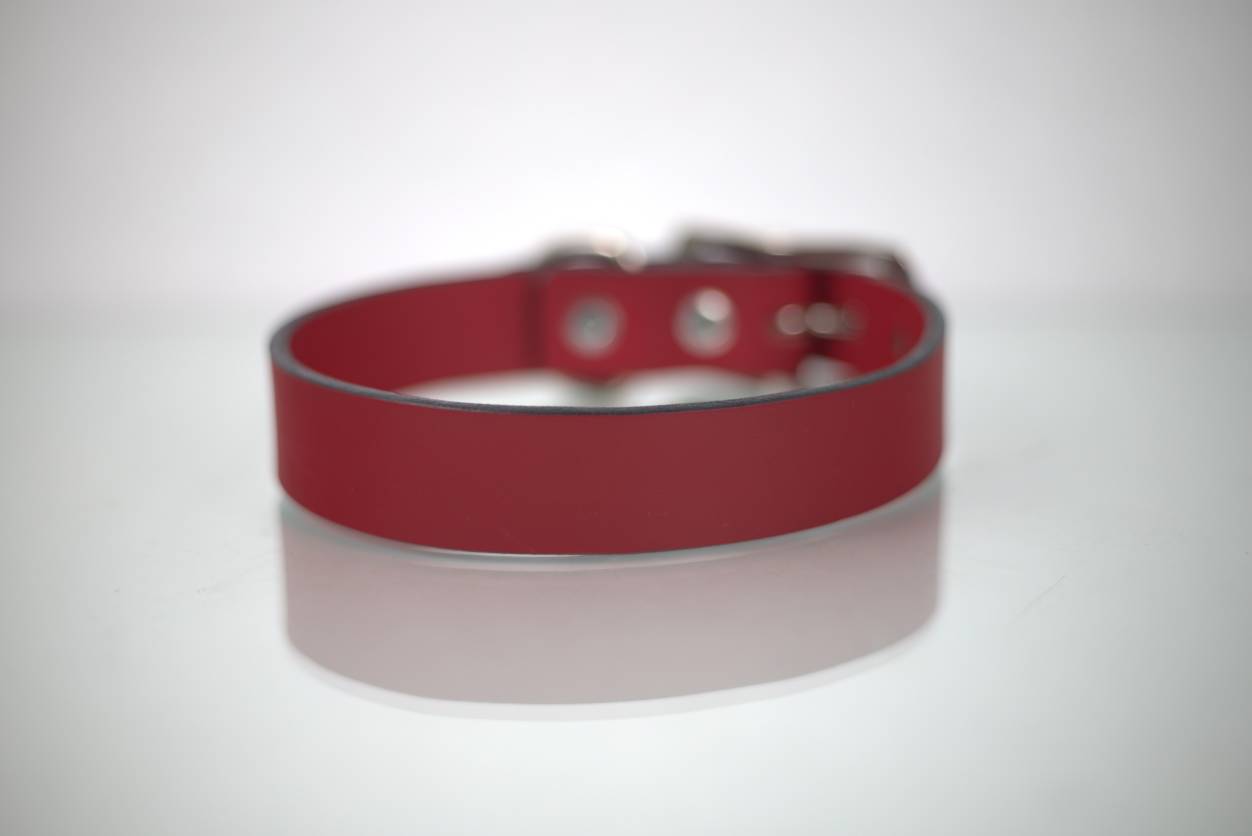 Collar Liso para Perro de Piel, 3cm de ancho