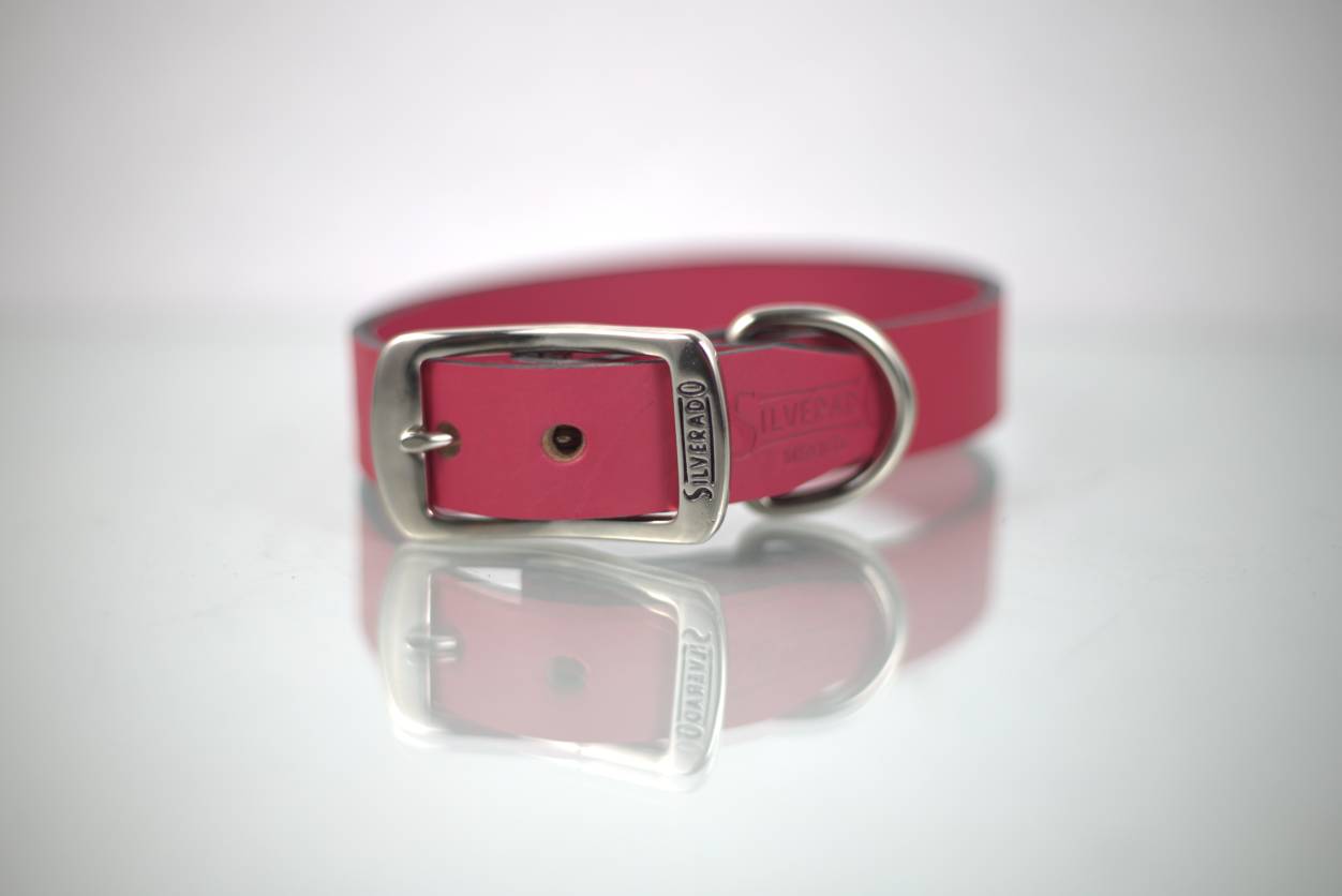 Collar Liso para Perro de Piel, 3cm de ancho