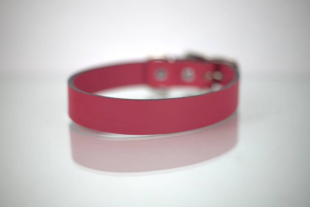 Collar Liso para Perro de Piel, 3cm de ancho