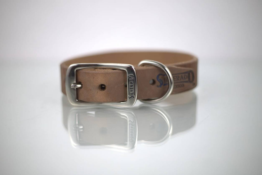 Collar Liso para Perro de Piel, 3cm de ancho