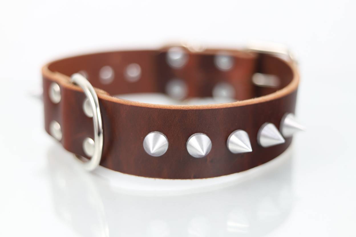 Collar con Picos para Perro de Piel, 4cm de ancho