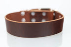 Collar de Agitación para Perro de Piel, 5cm de ancho