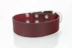Collar de Agitación para Perro de Piel, 5cm de ancho